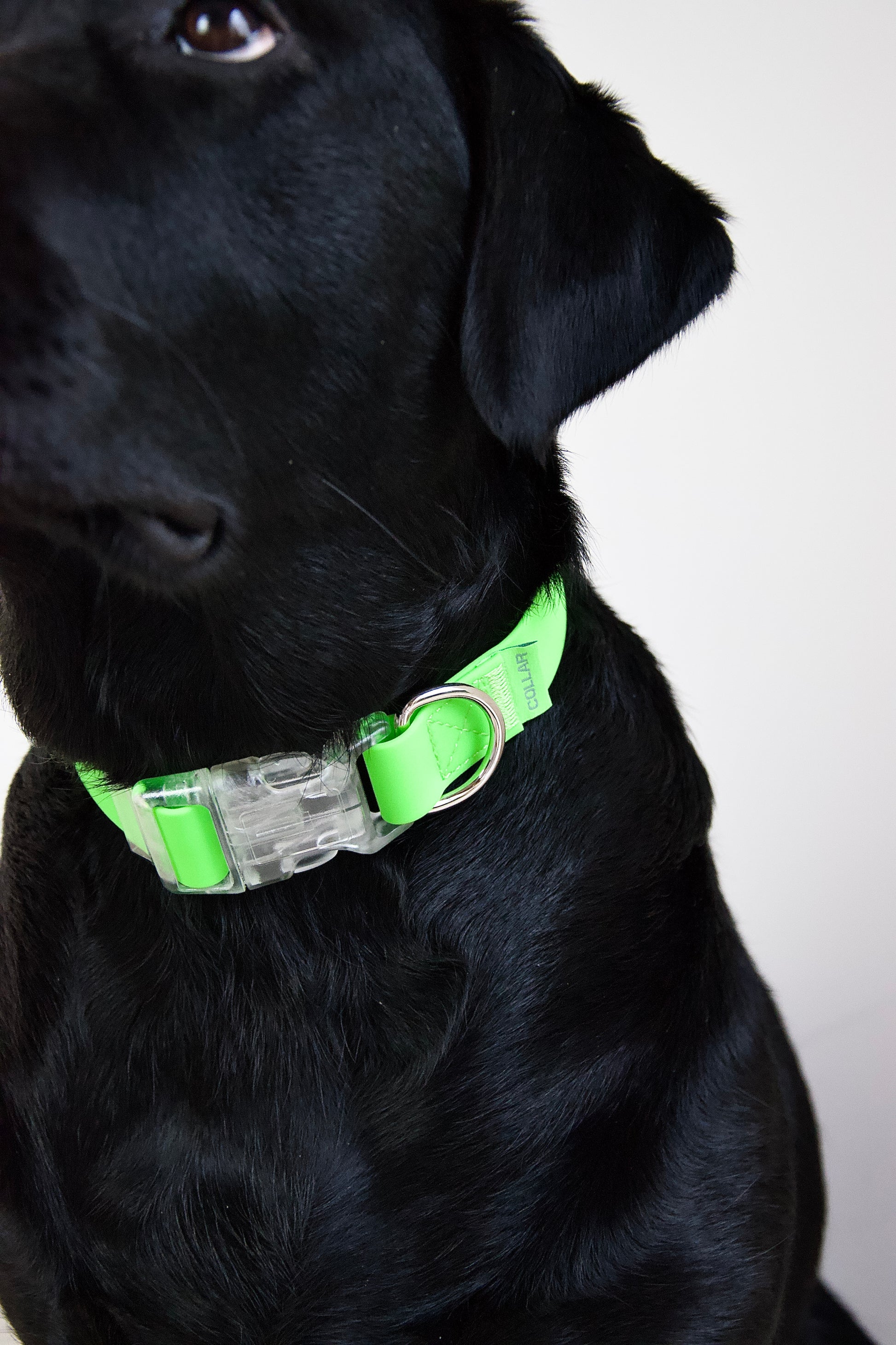 Waterdichte halsband groen