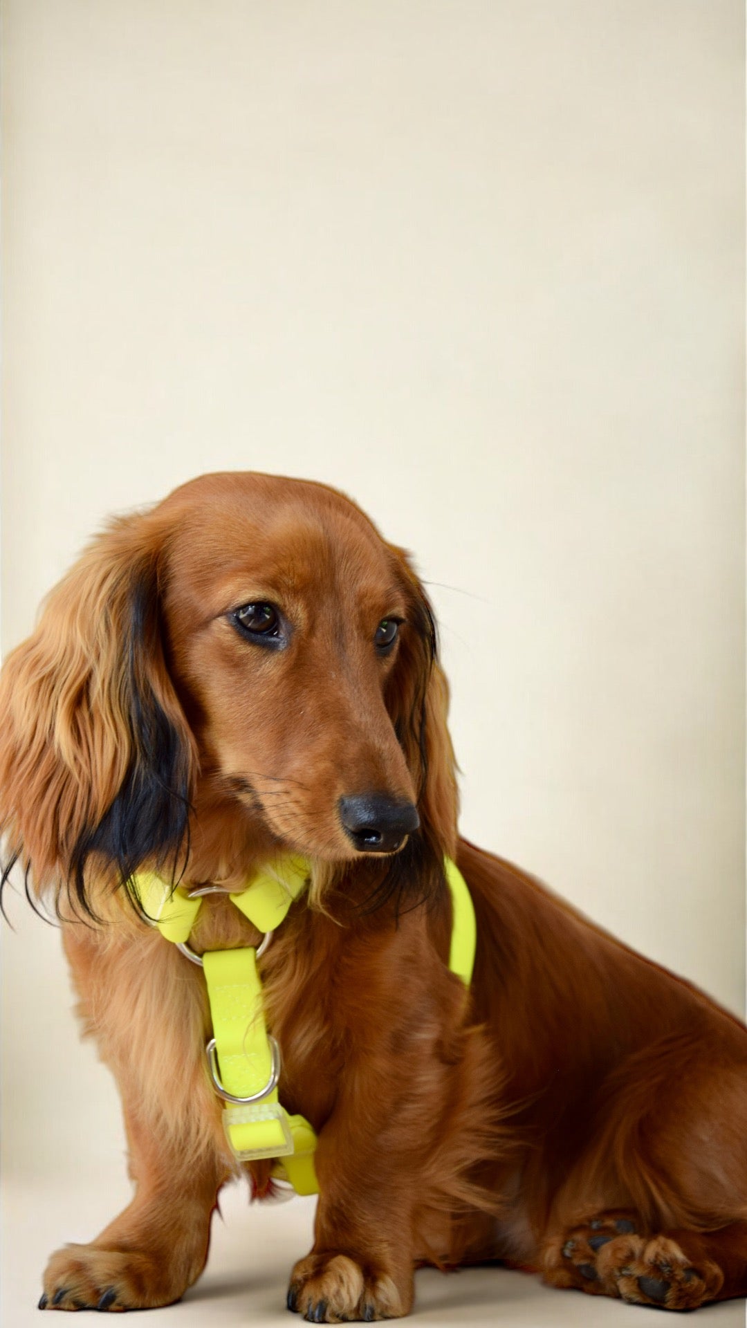 Waterafstotende harnas in neon geel