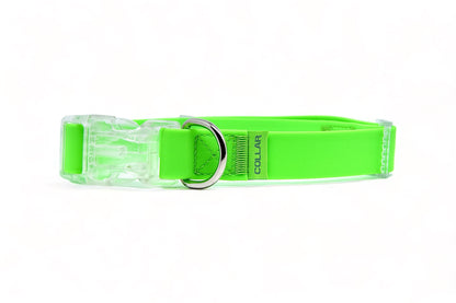 honden halsband groen