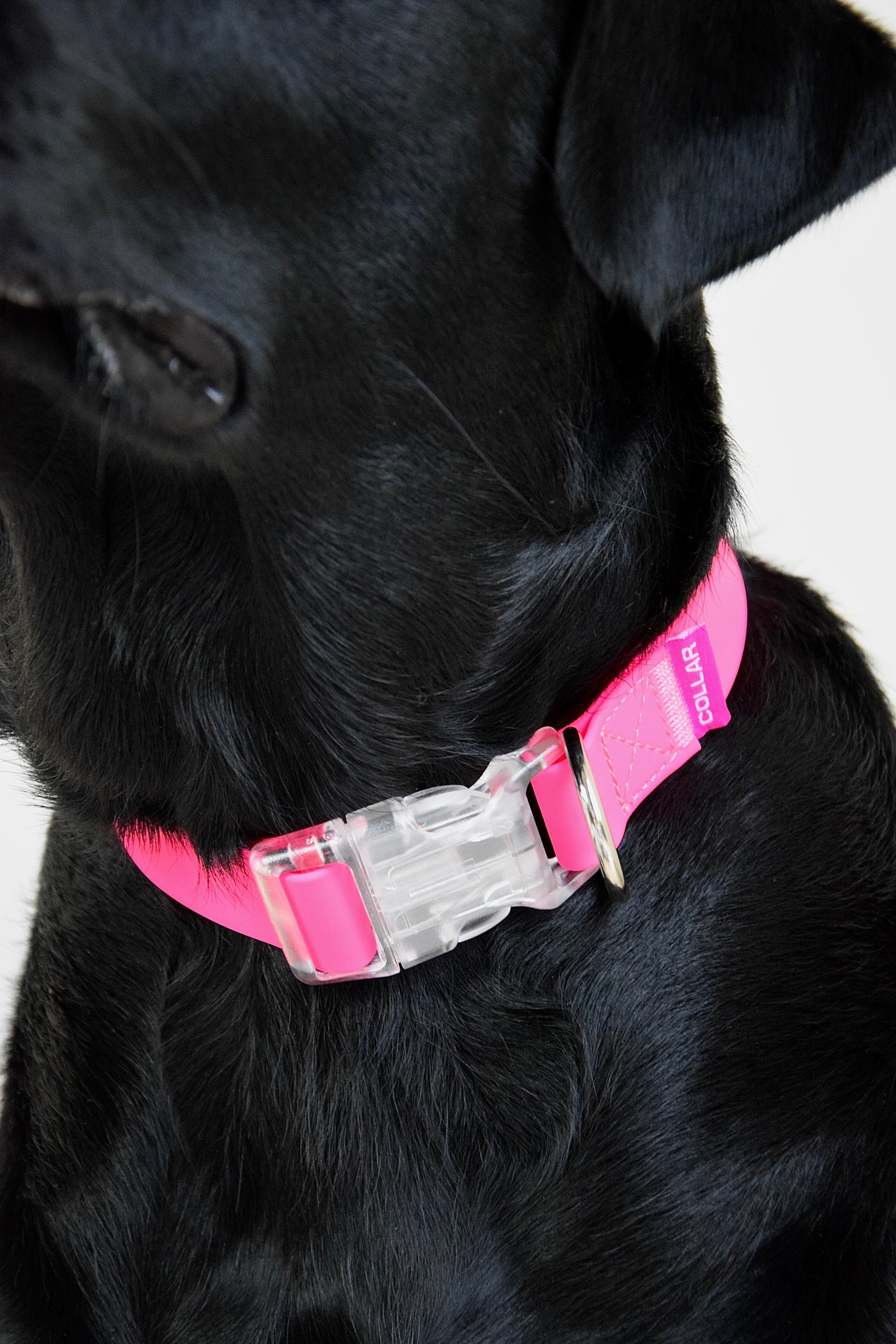 Halsband waterdicht roze 