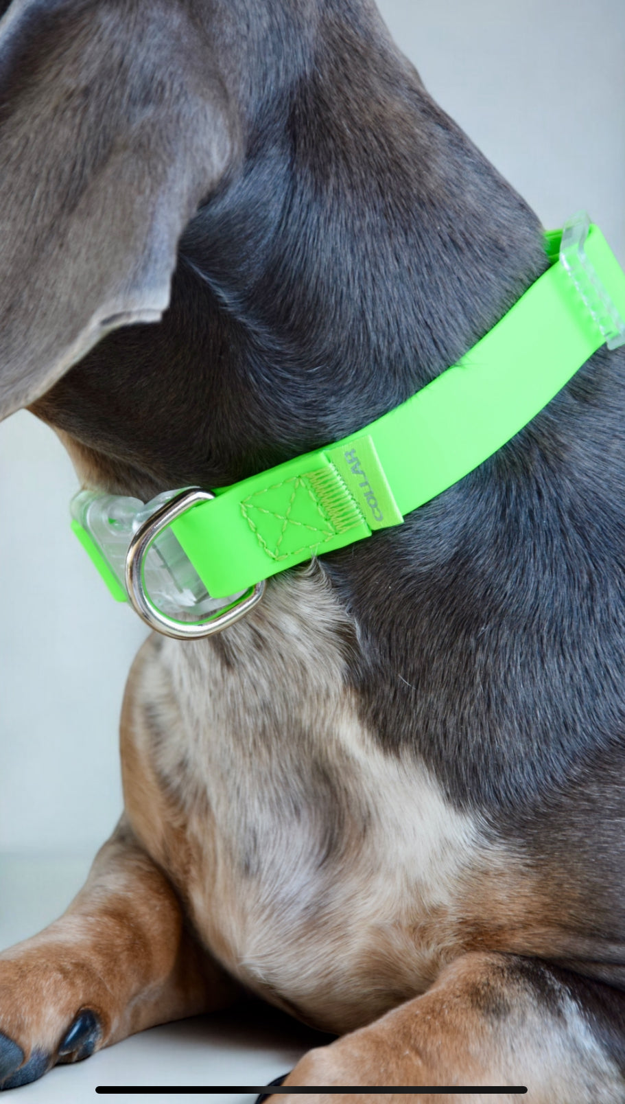 Waterbestendige halsband in neon groen 