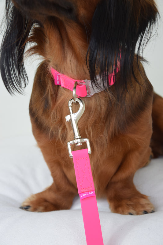 waterafstotende halsband hond