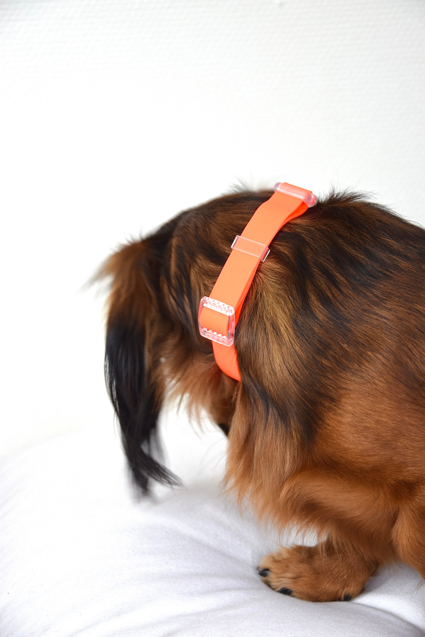 Waterafstotende halsband in neon oranje 